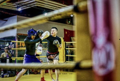 国产男女拳击视频,国产男女拳击风采展示