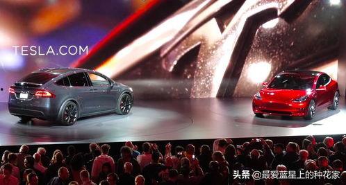 国产特斯拉发展历程视频,从破茧成蝶到引领未来