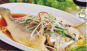 国产黄鱼力荐视频,力荐视频带你领略海鲜盛宴